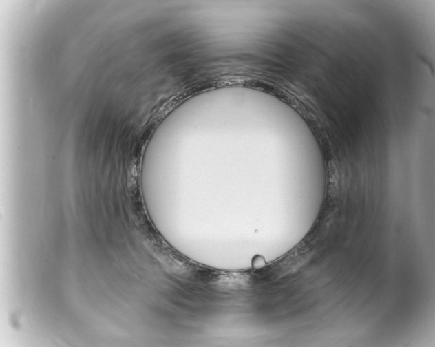 X0000100210369200805300731