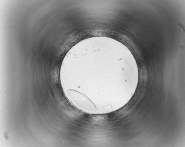 X0000100210370200805300731