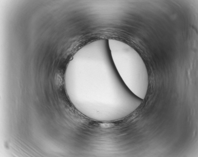 X0000100210371200805300731