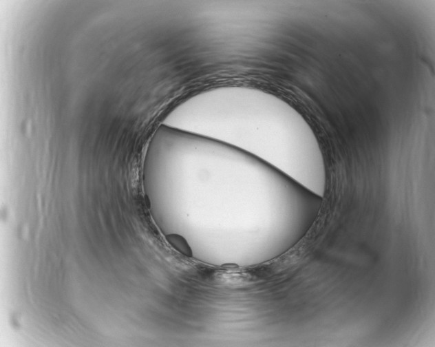 X0000100210372200805300731