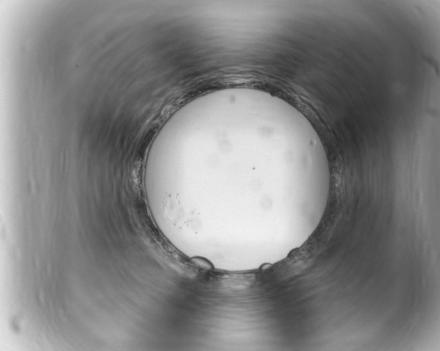 X0000100210373200805300731