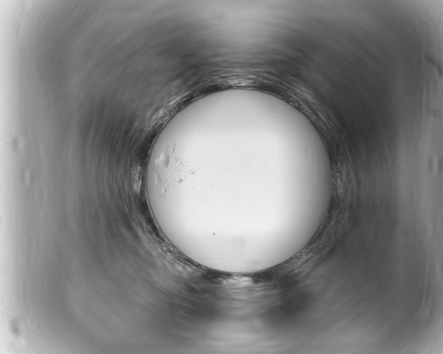 X0000100210374200805300731