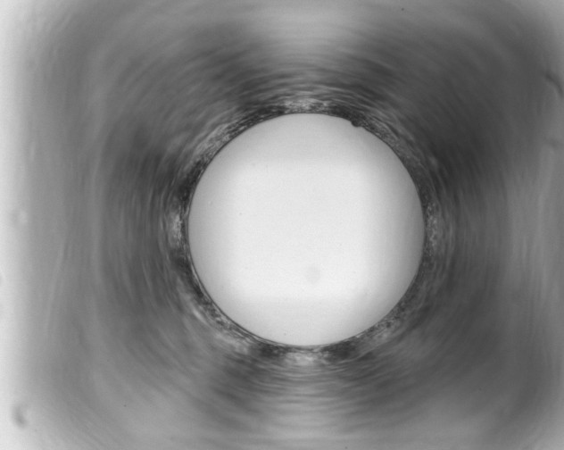 X0000100210375200805300731
