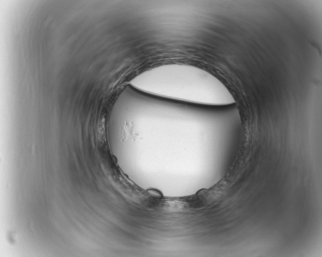X0000100210376200805300731