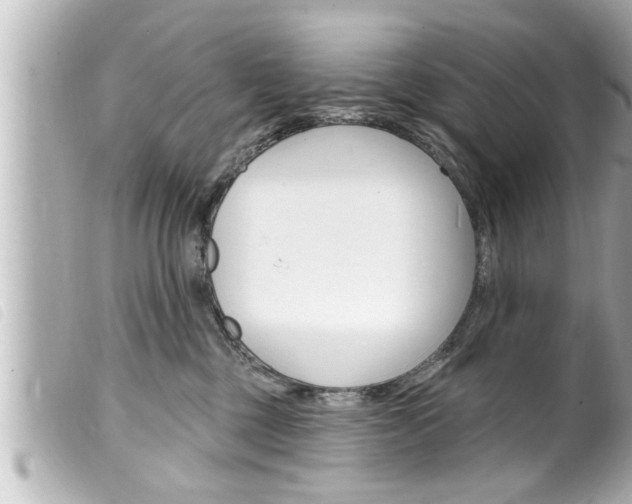 X0000100210377200805300731