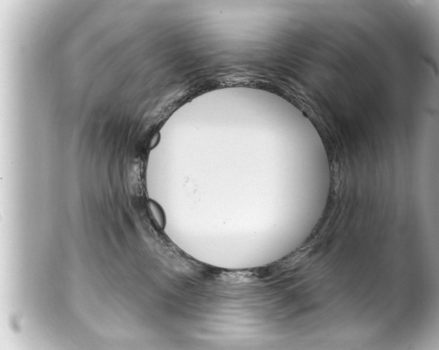 X0000100210378200805300731