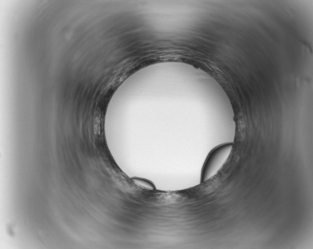 X0000100210379200805300731
