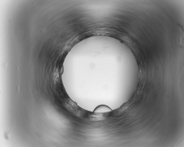 X0000100210381200805300731