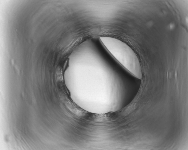 X0000100210384200805300731