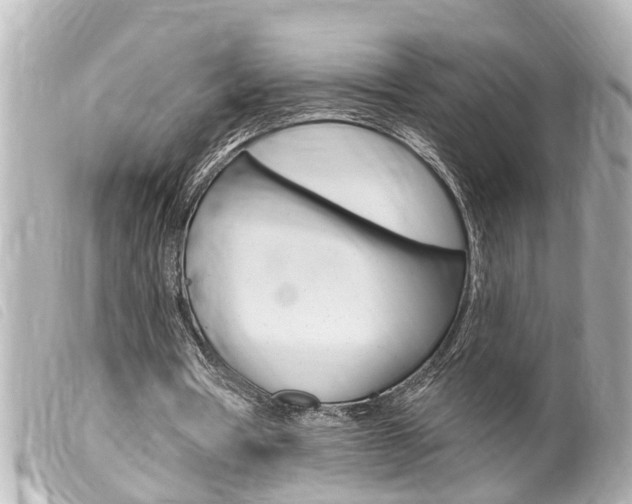 X0000100210386200805300730