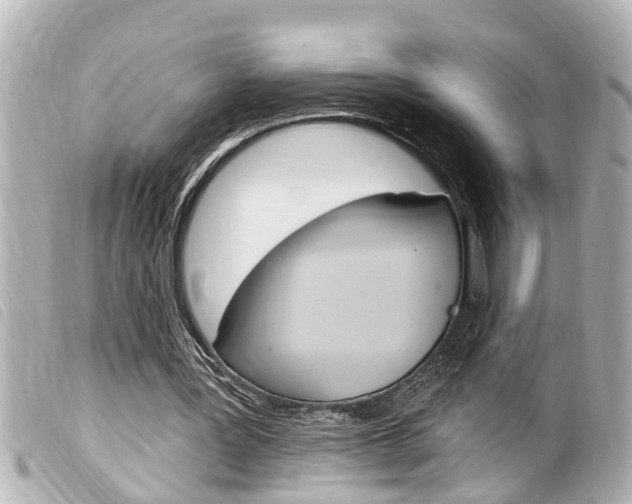 X0000100210387200805300730