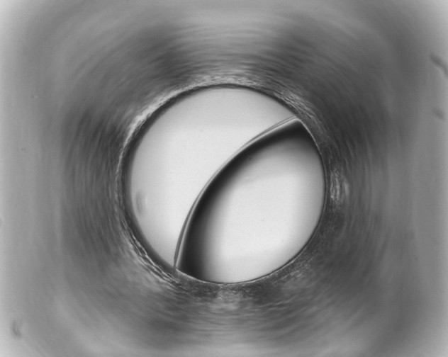 X0000100210388200805300730