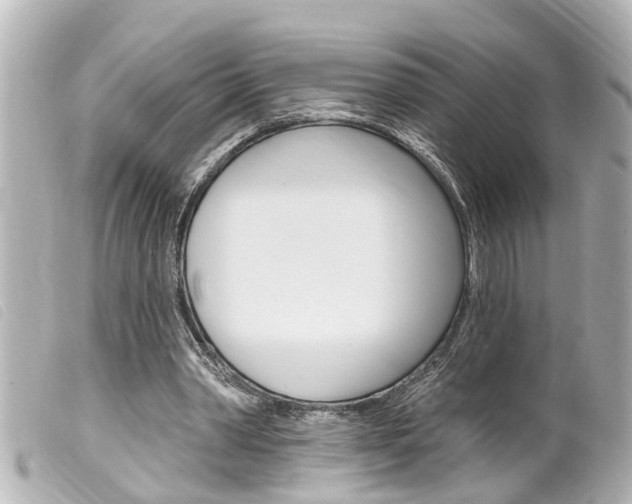 X0000100210390200805300730