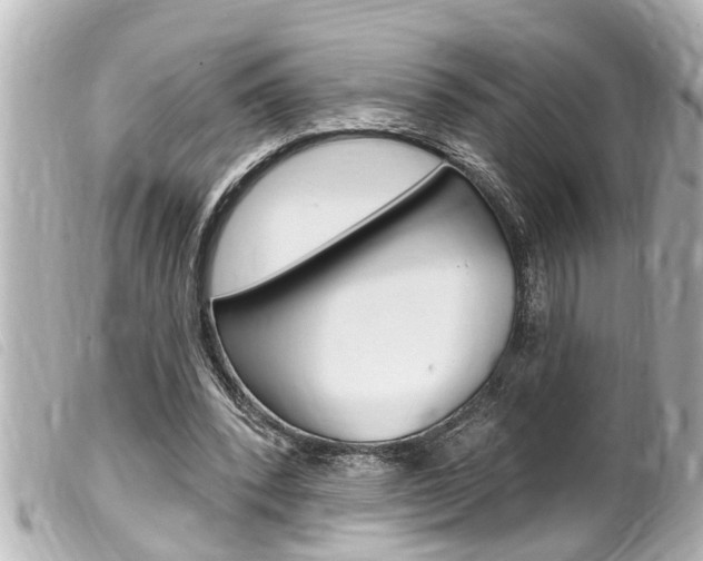 X0000100210392200805300730