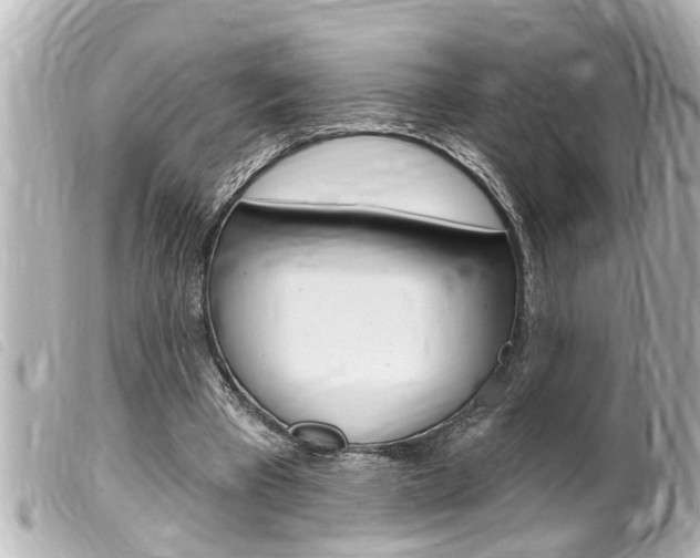 X0000100210393200805300730