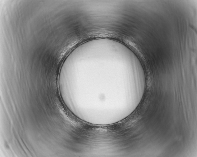 X0000100210394200805300730