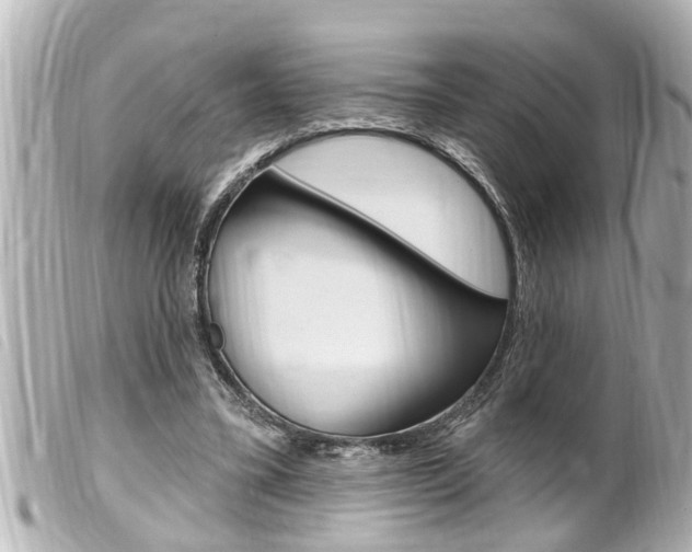 X0000100210395200805300730