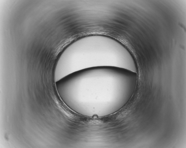X0000100210397200805300730