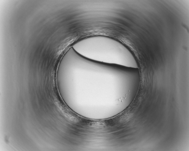 X0000100210398200805300730