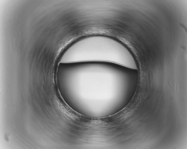 X0000100210399200805300730