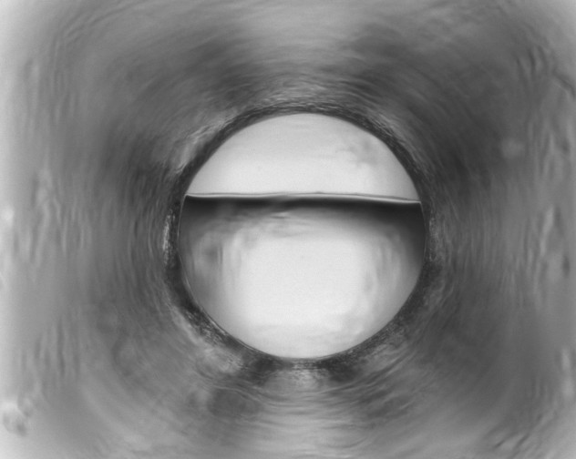 X0000100210404200805300730