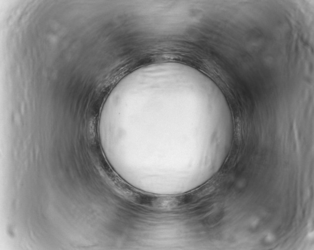 X0000100210410200805300730