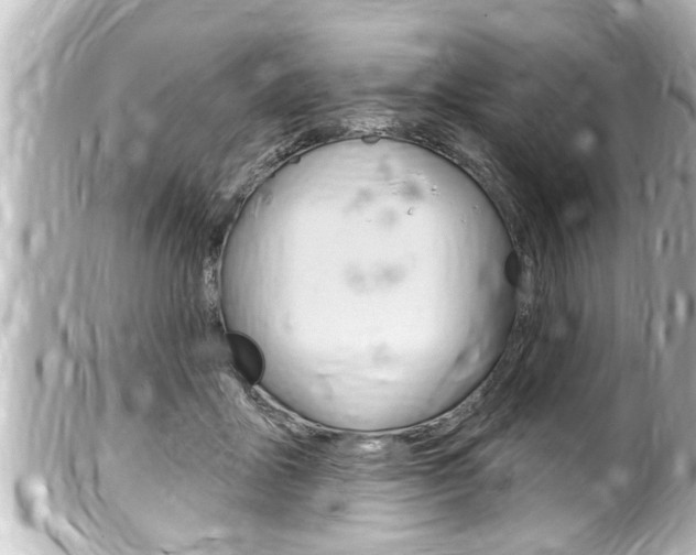 X0000100210411200805300730