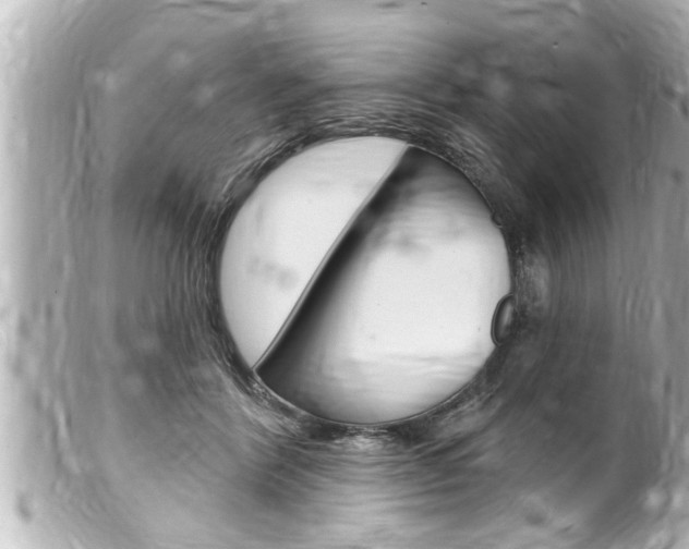 X0000100210412200805300730