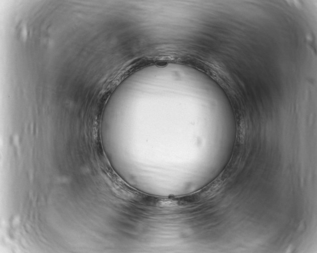 X0000100210413200805300730