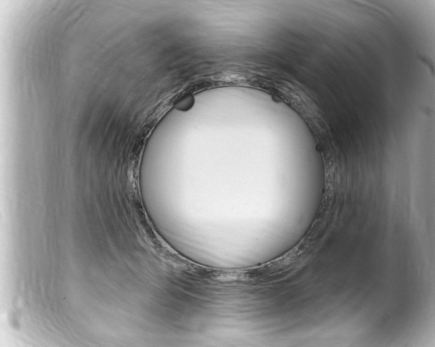 X0000100210415200805300730