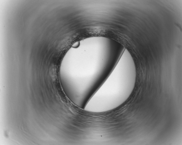X0000100210416200805300730