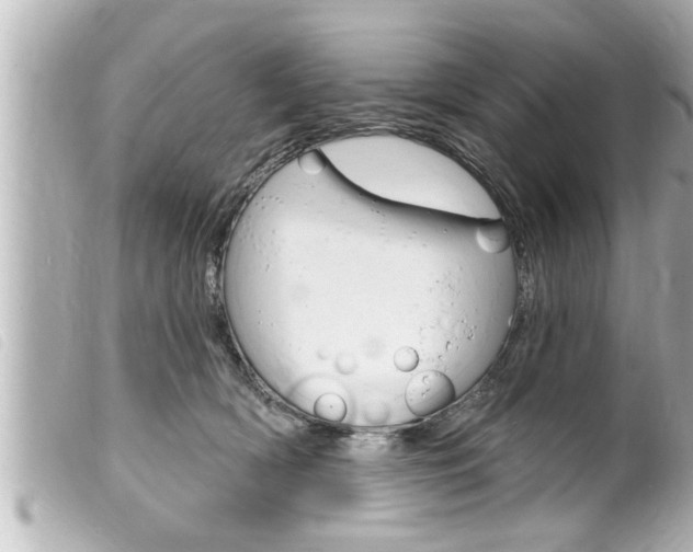 X0000100210418200805300730