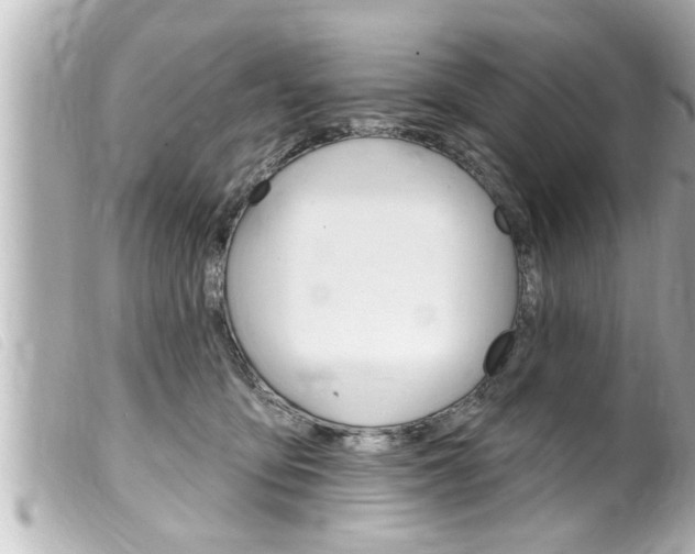 X0000100210419200805300730