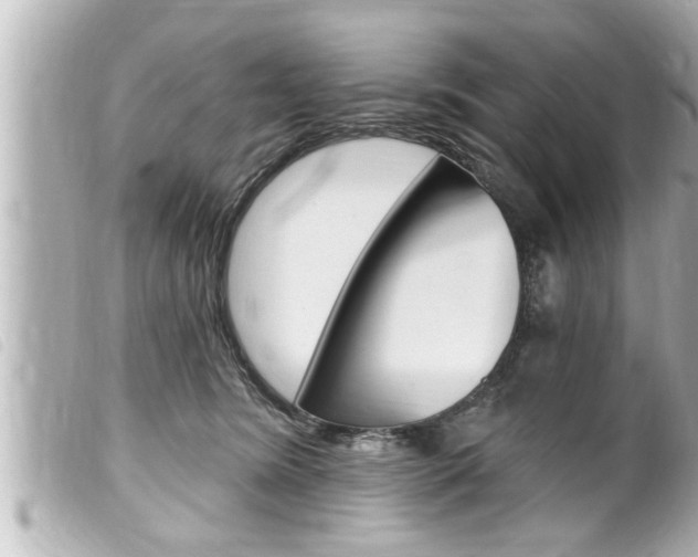 X0000100210420200805300730