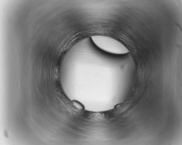 X0000100210421200805300730