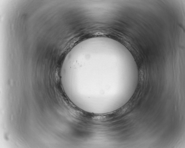 X0000100210422200805300730