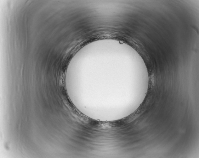 X0000100210423200805300730