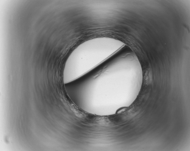 X0000100210424200805300730