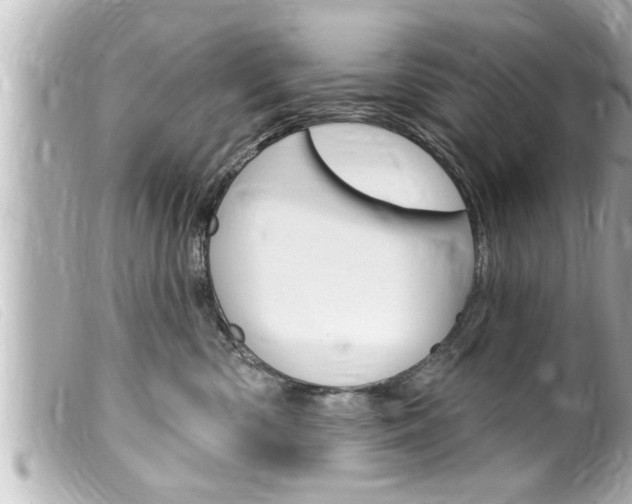 X0000100210426200805300730