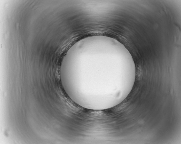 X0000100210428200805300730