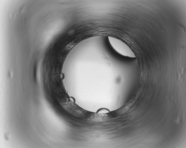 X0000100210429200805300730