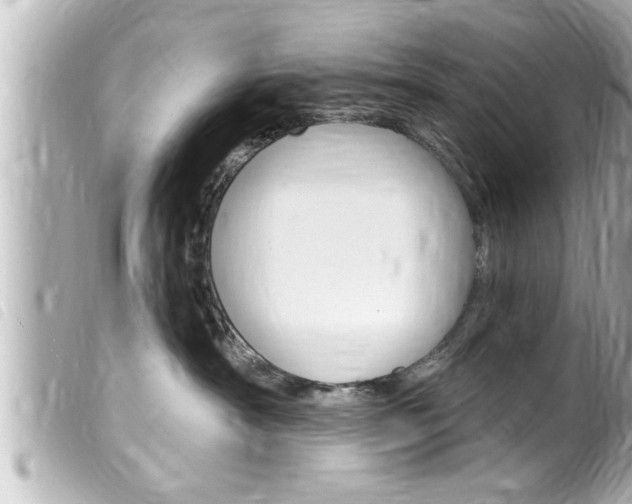 X0000100210430200805300730