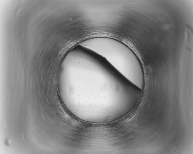 X0000100210433200805300729
