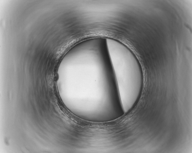 X0000100210434200805300729