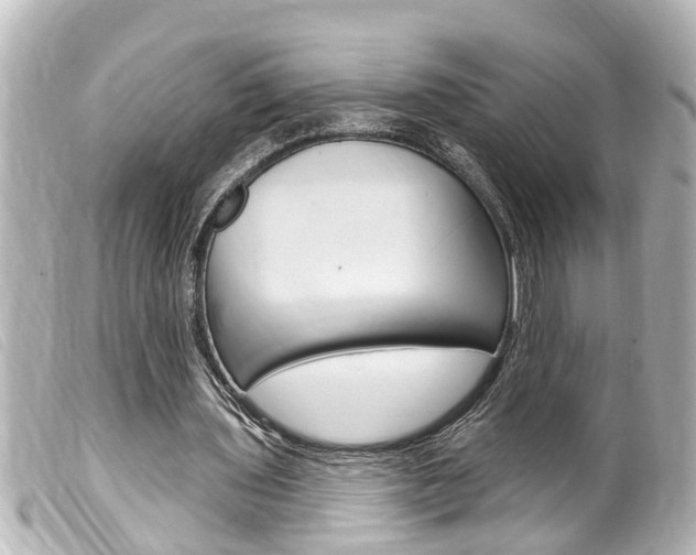 X0000100210435200805300729