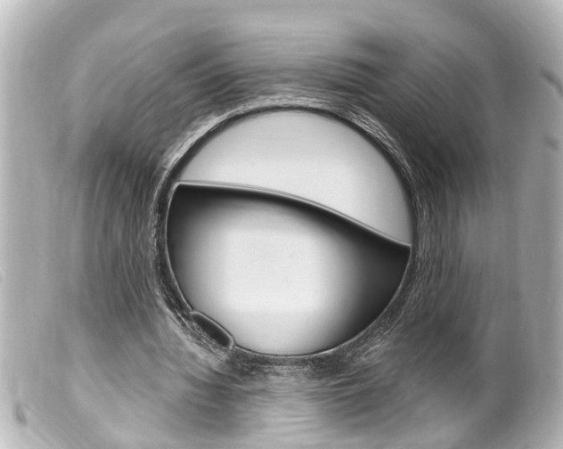 X0000100210436200805300729