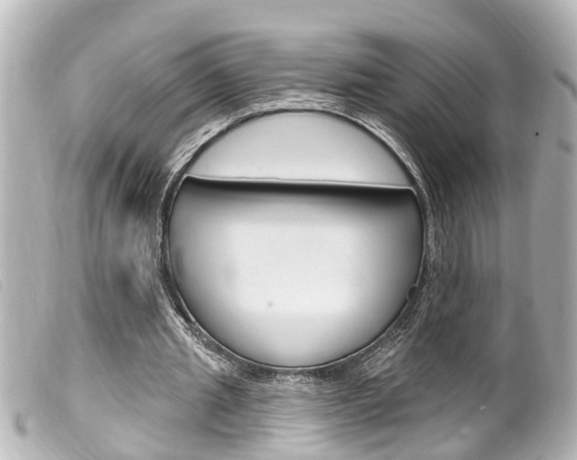 X0000100210437200805300729