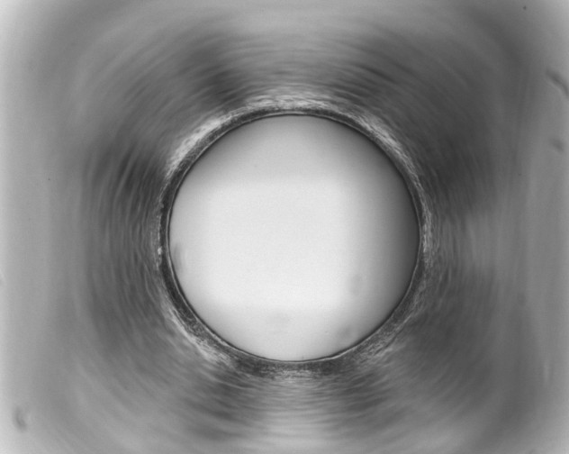 X0000100210438200805300729