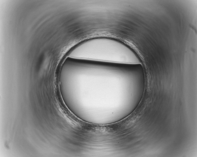 X0000100210439200805300729