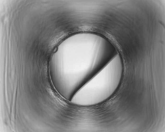 X0000100210442200805300729
